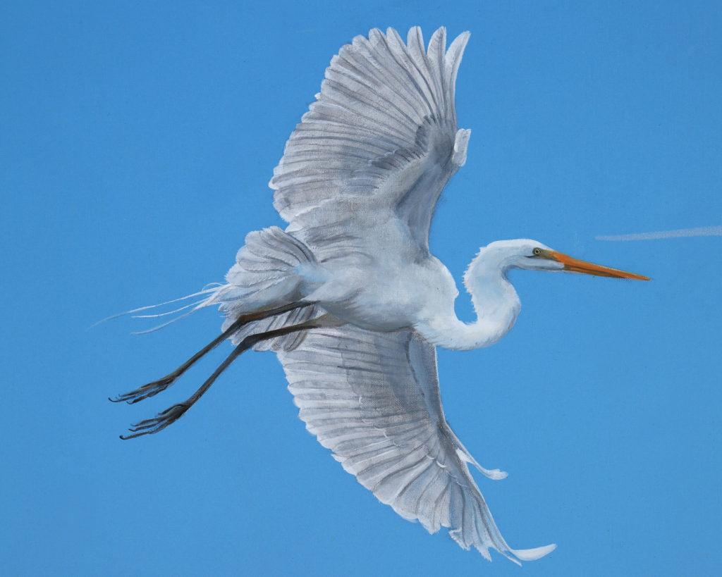 Low country mural with detail of egret flying in blue sky