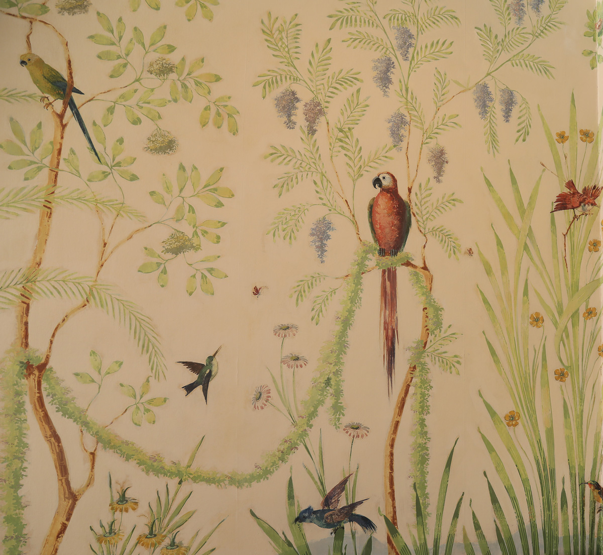 parrot image on wallpaper